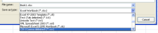 Microsoft Excel Save As